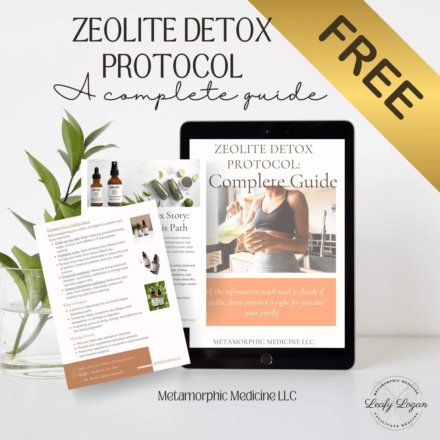 Zeolite Detox Protocol Guide