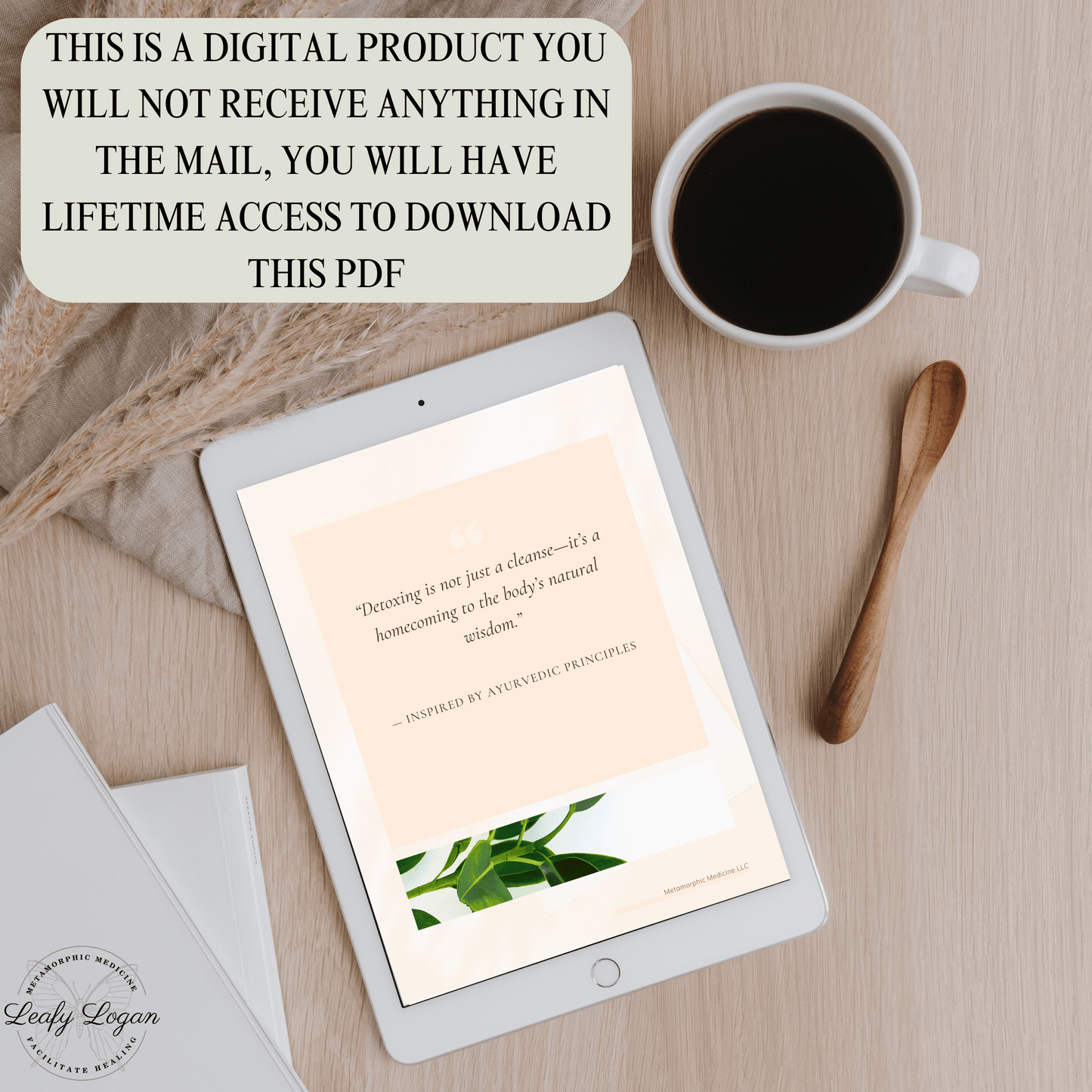 Zeolite Detox Protocol Guide