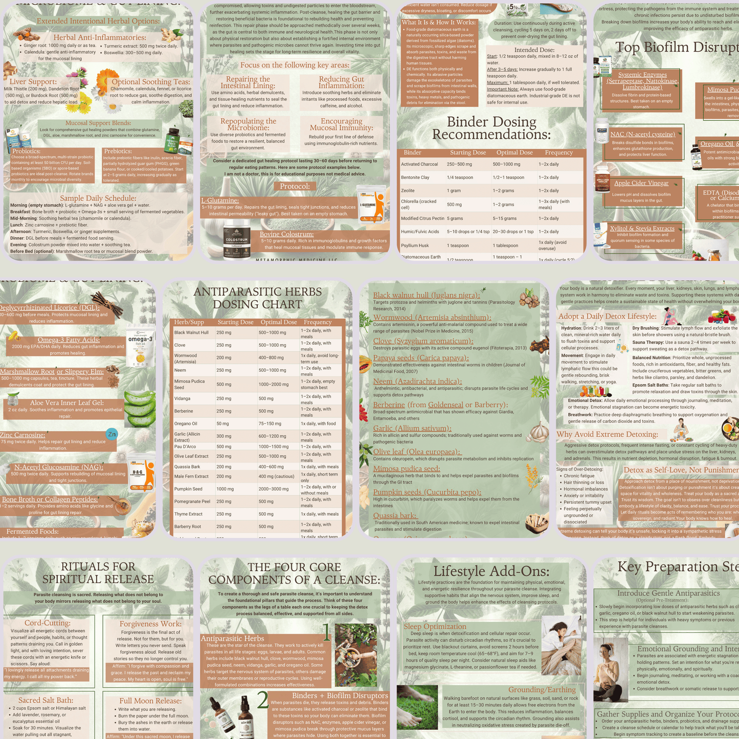 Parasite Cleansing Info & Guidebook