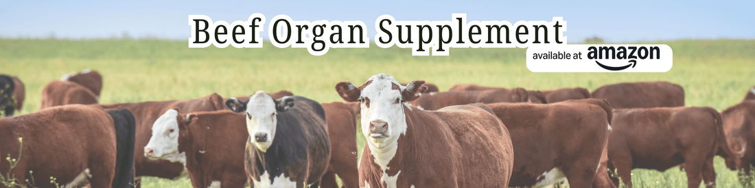 Beef Organ Supplement - LeafyLogan