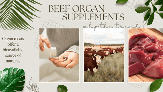 The Benefits of Taking Beef Organ Supplements: Why Quality Matters - LeafyLogan