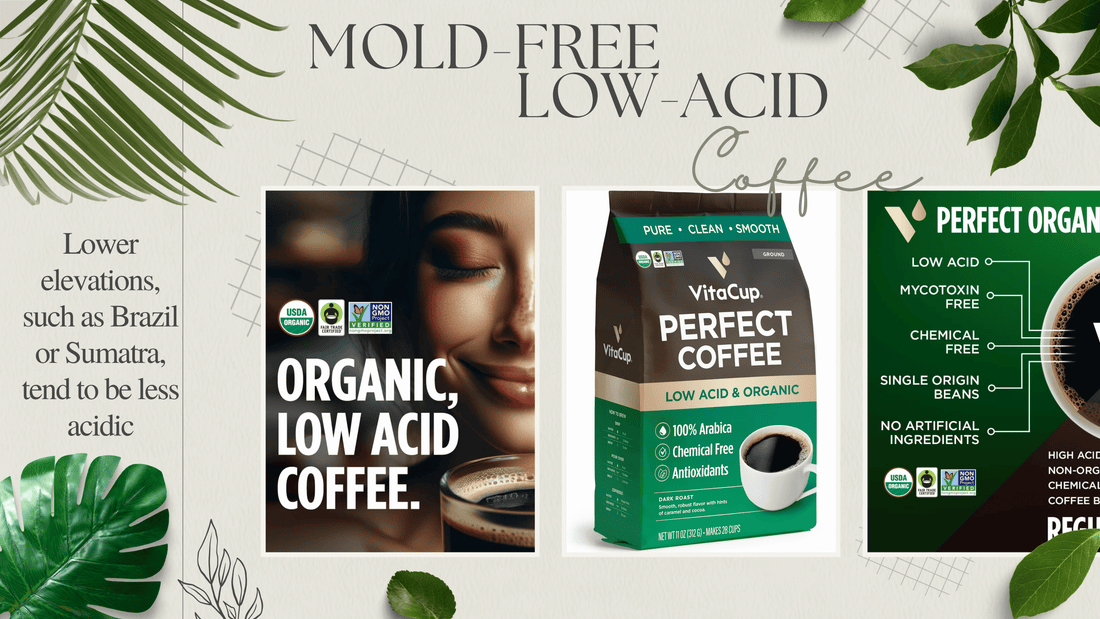 Mold-Free Low-Acid Coffee: A Healthier Choice for Coffee Lovers - LeafyLogan