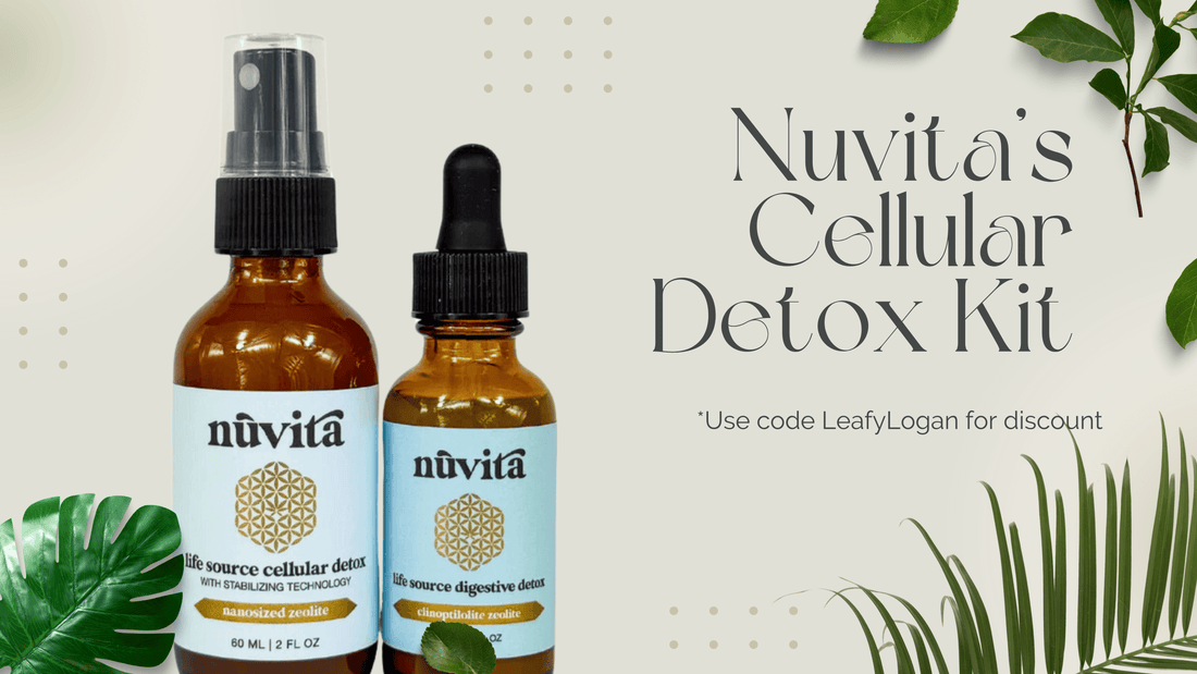 The Benefits of a Zeolite Detox: Why You Should Consider It - LeafyLogan