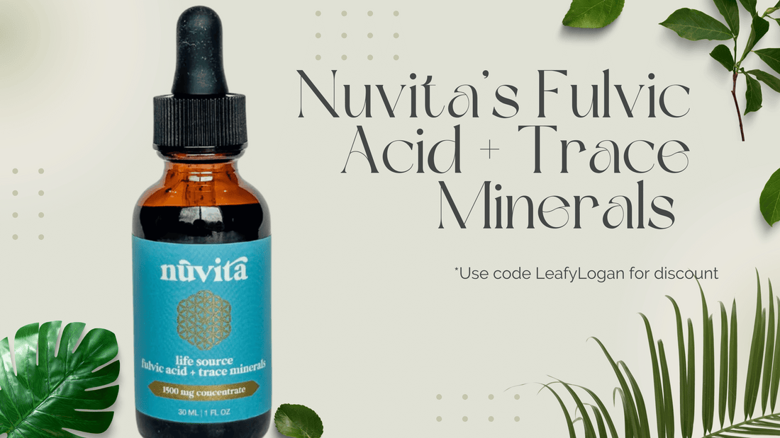 The Benefits of Taking Fulvic Acid + Trace Minerals Supplement - LeafyLogan