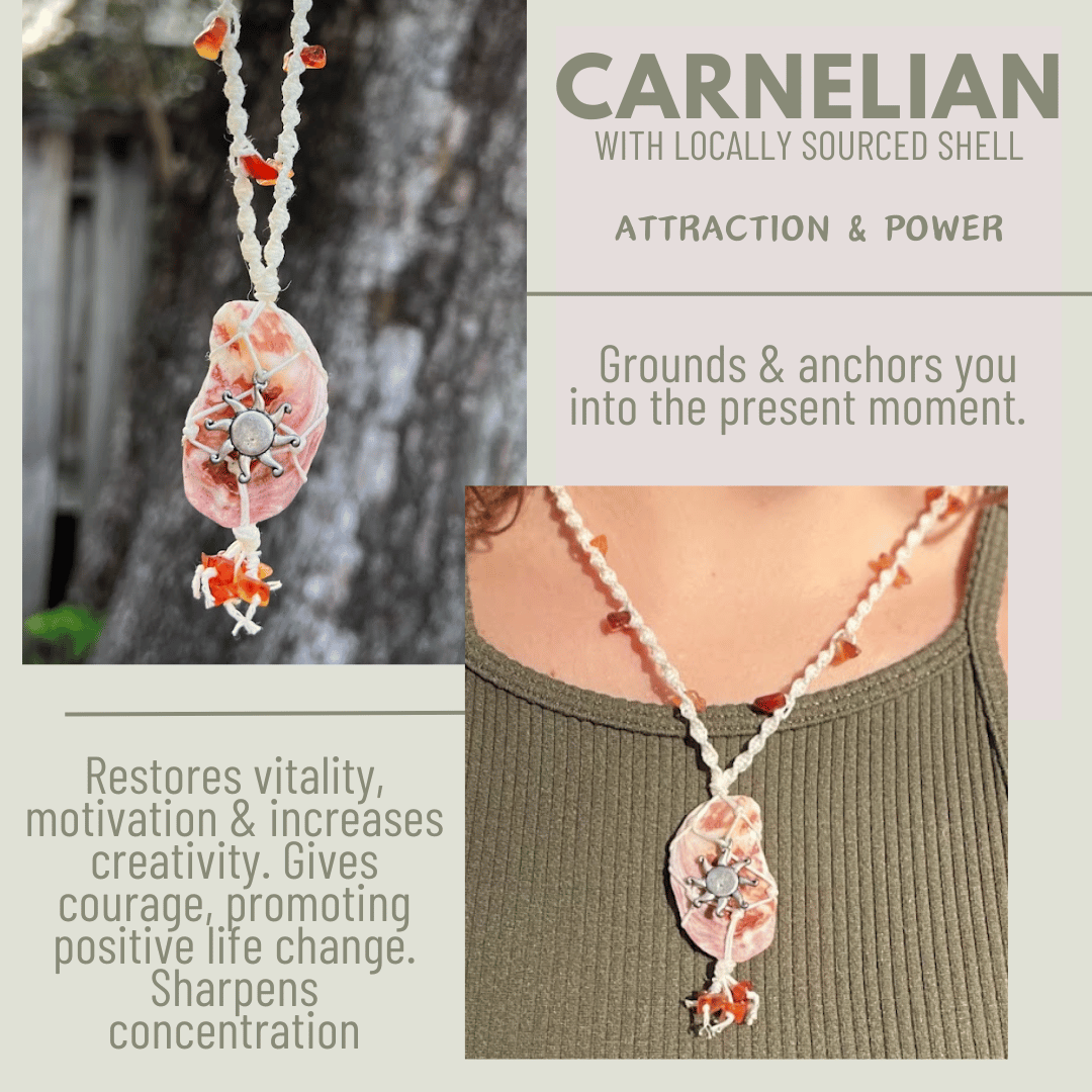 Carnelian Shell Necklace - LeafyLogan